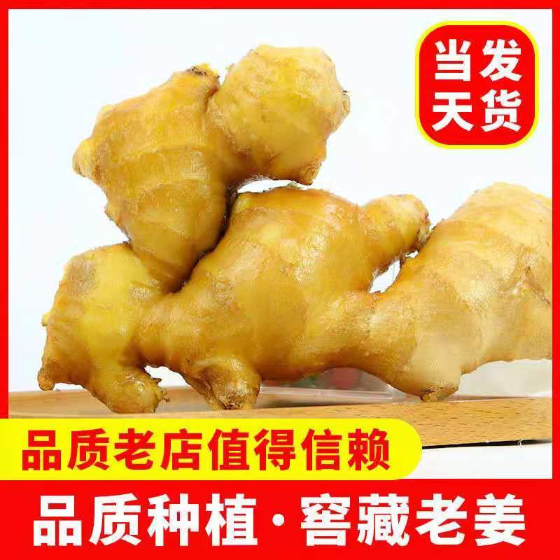生姜产地直发【全国批发】品质保证量大价优欢迎咨询