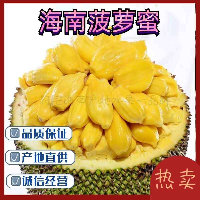 【精品海南菠萝蜜】正宗海南优质菠萝蜜个大饱满香甜