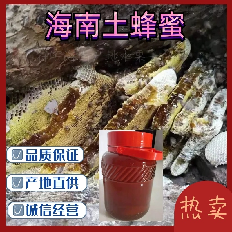 【海南土蜂蜜】海南正宗深山野蜂蜜保质保量欢迎选购
