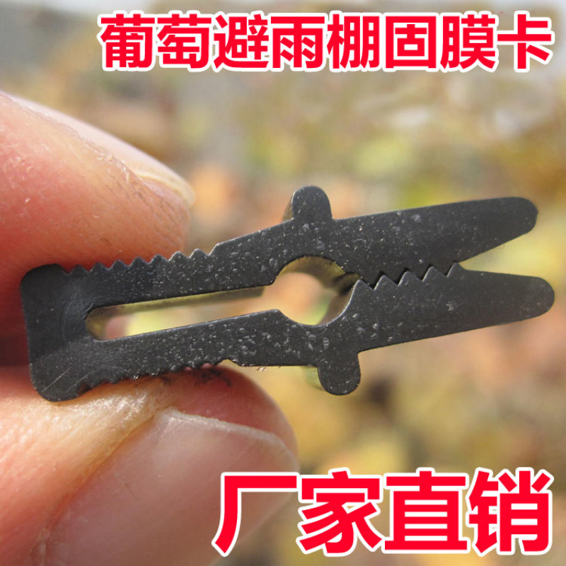 葡萄树避雨棚固膜卡竹二膜夹子大棚配件压膜卡塑料夹膜卡绑枝