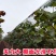 葡萄树避雨棚固膜卡竹二膜夹子大棚配件压膜卡塑料夹膜卡绑枝
