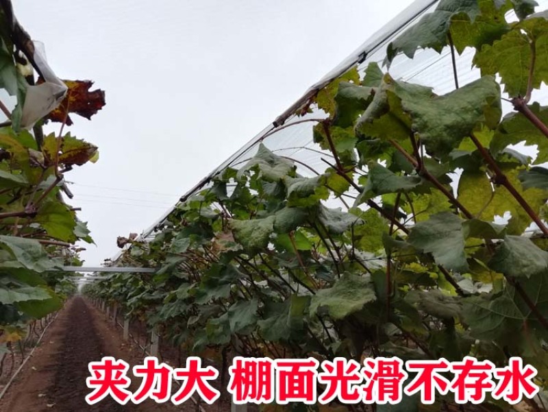葡萄树避雨棚固膜卡竹二膜夹子大棚配件压膜卡塑料夹膜卡绑枝