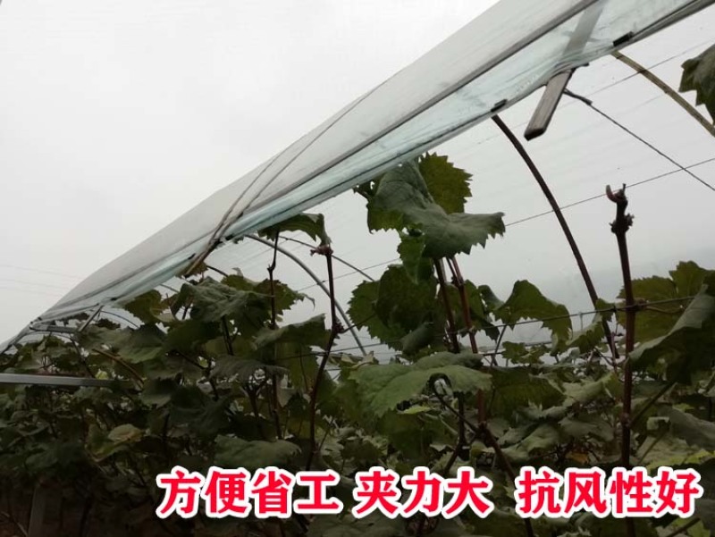 葡萄树避雨棚固膜卡竹二膜夹子大棚配件压膜卡塑料夹膜卡绑枝
