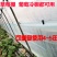 葡萄树避雨棚固膜卡竹二膜夹子大棚配件压膜卡塑料夹膜卡绑枝