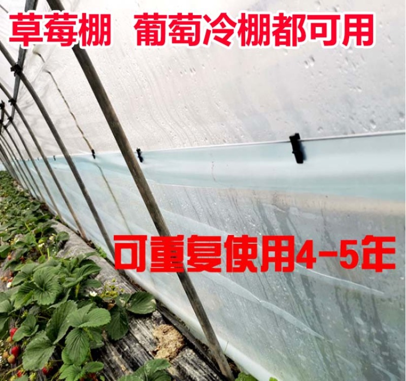 葡萄树避雨棚固膜卡竹二膜夹子大棚配件压膜卡塑料夹膜卡绑枝