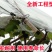 葡萄树避雨棚固膜卡竹二膜夹子大棚配件压膜卡塑料夹膜卡绑枝