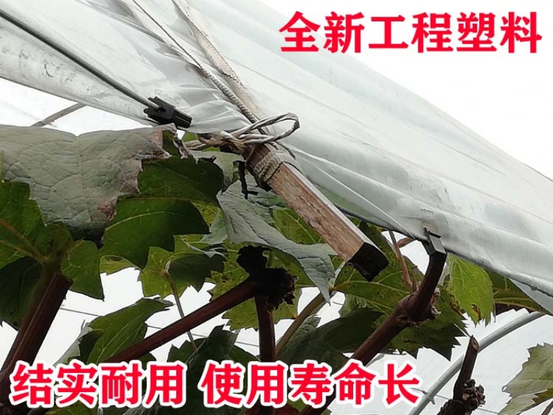 葡萄树避雨棚固膜卡竹二膜夹子大棚配件压膜卡塑料夹膜卡绑枝