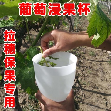 葡萄浸果杯拉穗器蘸药杯膨果器葡萄绑枝卡套袋打尖机翘头疏果