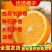 秭归脐橙/伦晚/纽荷尔/圆虹长虹/血橙果园现摘个大口感甜