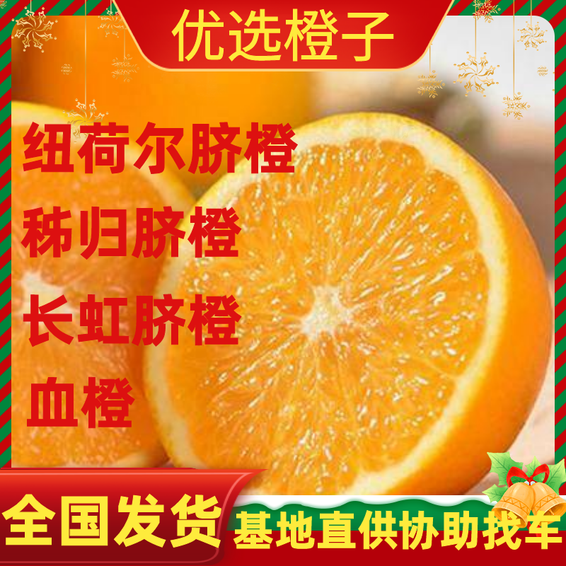 秭归脐橙/伦晚/纽荷尔/圆虹长虹/血橙果园现摘个大口感甜