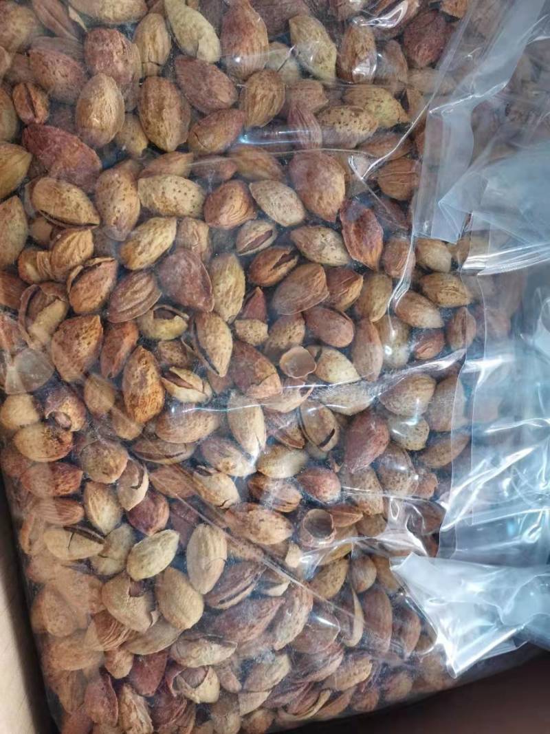 【新货】NP纸皮巴旦木奶香味十足批发电商可选欢迎合作