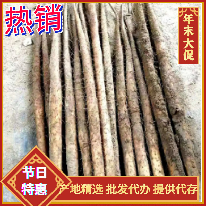 河北棒山药皮色好圆直双棒山药批发代办有冷库可提供代存