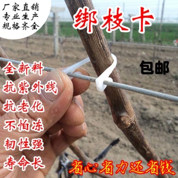 绑枝卡绑树卡扣塑料卡扣黑卡子绑蔓卡子枝条卡子绑枝扎丝