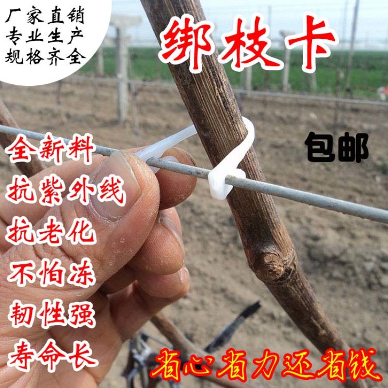 绑枝卡绑树卡扣塑料卡扣黑卡子绑蔓卡子枝条卡子绑枝扎丝