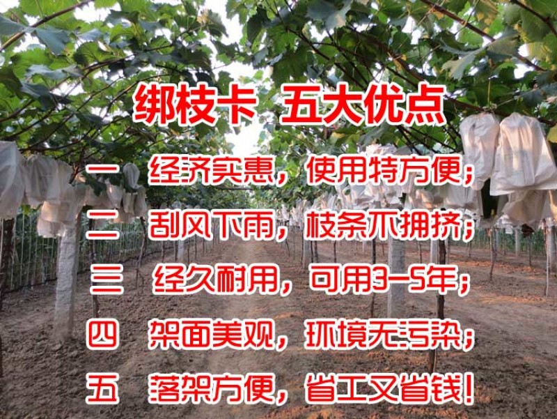 绑枝卡绑树卡扣塑料卡扣黑卡子绑蔓卡子枝条卡子绑枝扎丝