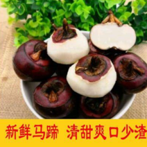 【节日特惠】马蹄荸荠当季蔬菜水果非珍珠马蹄新鲜红皮甜地梨