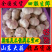 太空蒜种子，大蒜种子，太空3号种子