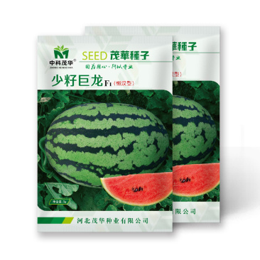 中科茂华杂交西瓜种子少籽巨龙懒汉栽培西瓜種子瓜果大红瓤