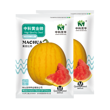 中科茂华水果种子中科黄金帅西瓜种子黄皮红肉礼品西瓜种籽