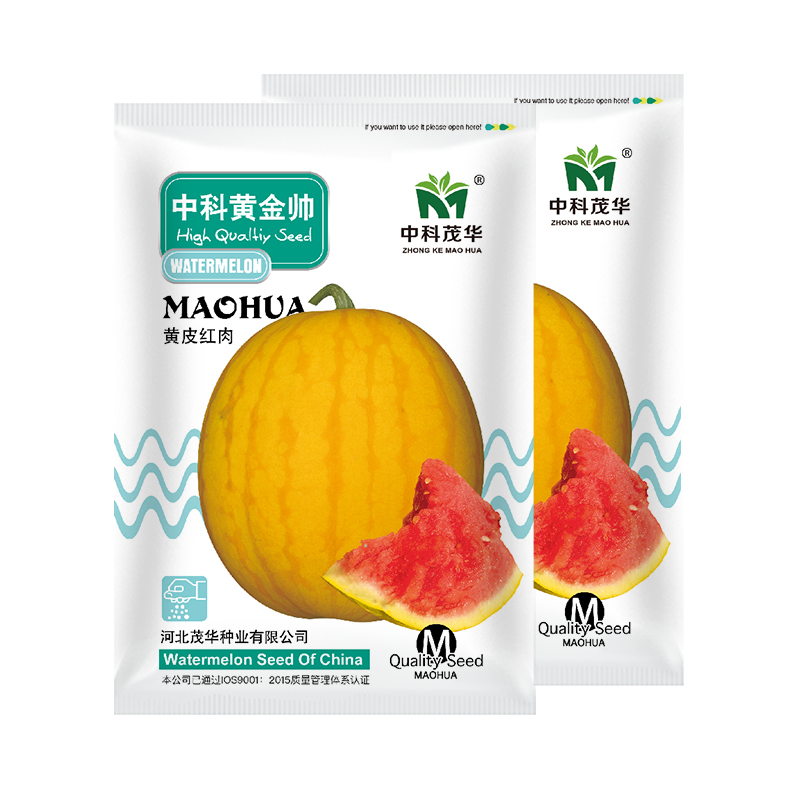中科茂华水果种子中科黄金帅西瓜种子黄皮红肉礼品西瓜种籽
