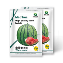 中科茂华蔬菜水果种子金美都西瓜种子改良8424抗裂