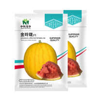 中科茂华水果种子金玲珑西瓜种子黄皮红肉礼品西瓜种子