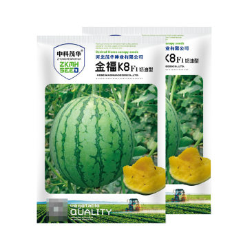 中科茂华瓜果种子礼品瓜種子金福K8果肉黄色口感好