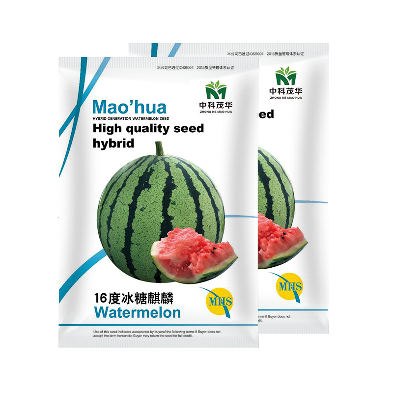 中科茂华水果种子16度冰糖麒麟西瓜种子小时候的西瓜味道