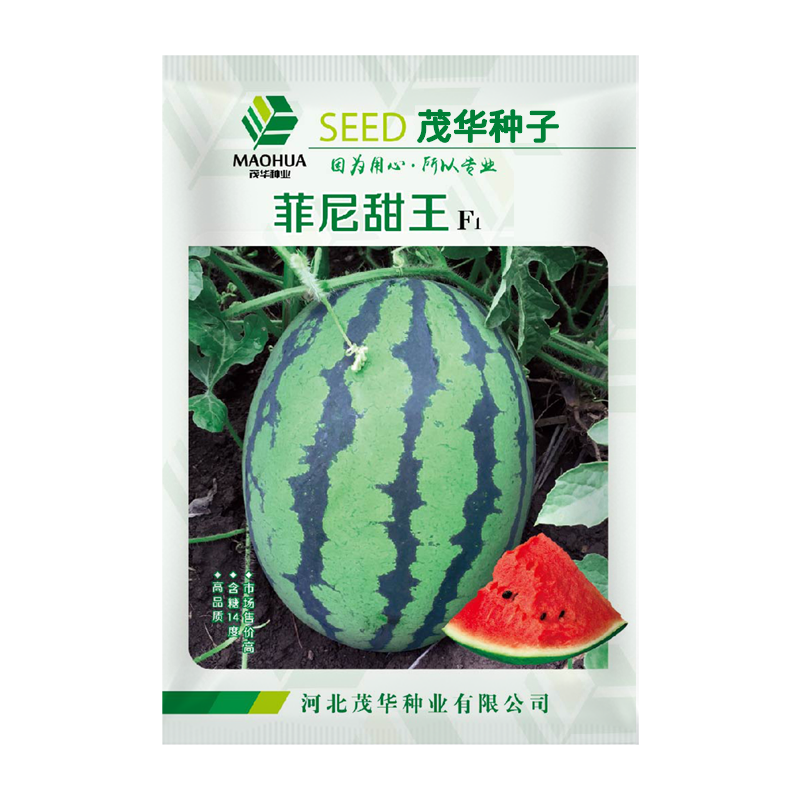 中科茂华瓜果种子盖世甜王西瓜种子高圆形大红瓤不水瓤
