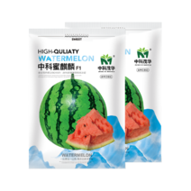 中科茂华蔬菜瓜果种子中科蜜麒麟西瓜种子含糖12.7多汁