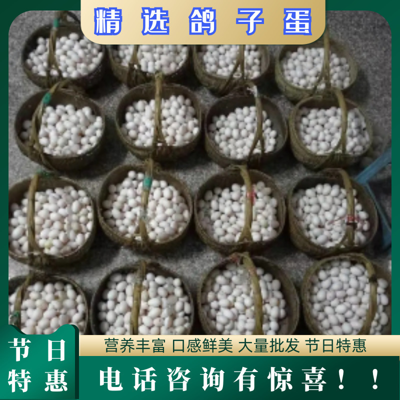 长寿之乡〔新鲜鸽子蛋批发〕新鲜鸽蛋批发营养高-纯鲜蛋