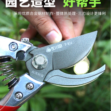 台湾佐川田816修枝剪刀果树修剪工具园林剪刀树