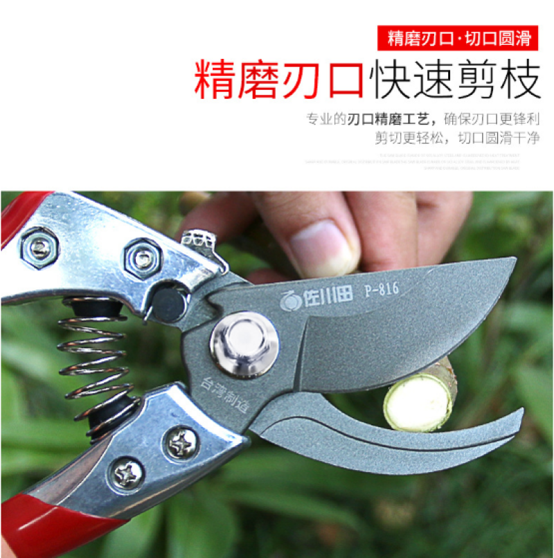 台湾佐川田816修枝剪刀果树修剪工具园林剪刀树