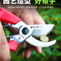 佐川田120修树枝剪刀果枝剪园艺修枝整枝剪园林剪