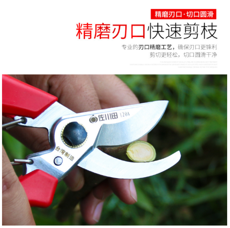 佐川田120修树枝剪刀果枝剪园艺修枝整枝剪园林剪