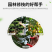 台湾帝胜2068园林剪刀树枝剪省力果树枝剪园艺
