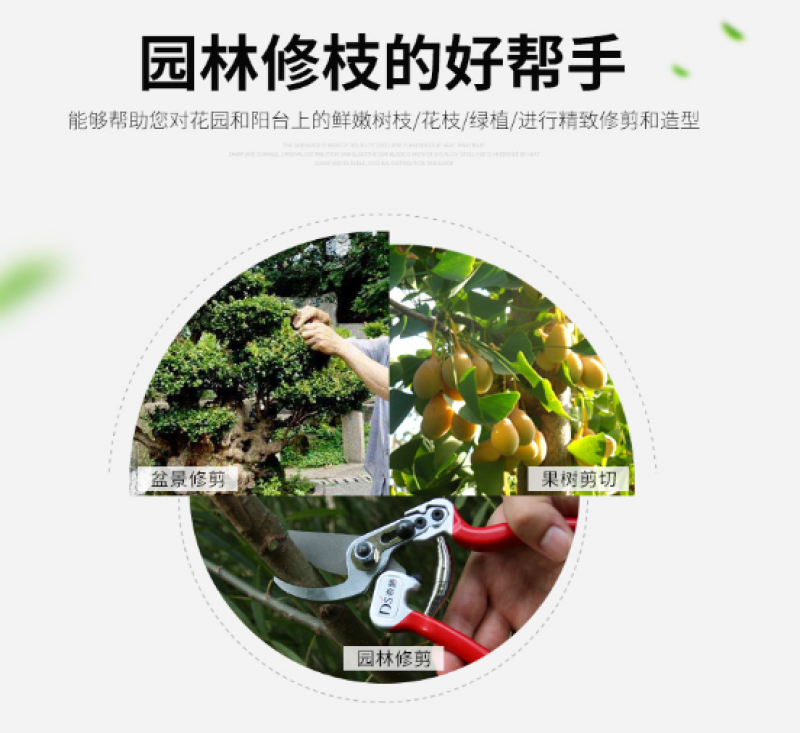 台湾帝胜2068园林剪刀树枝剪省力果树枝剪园艺