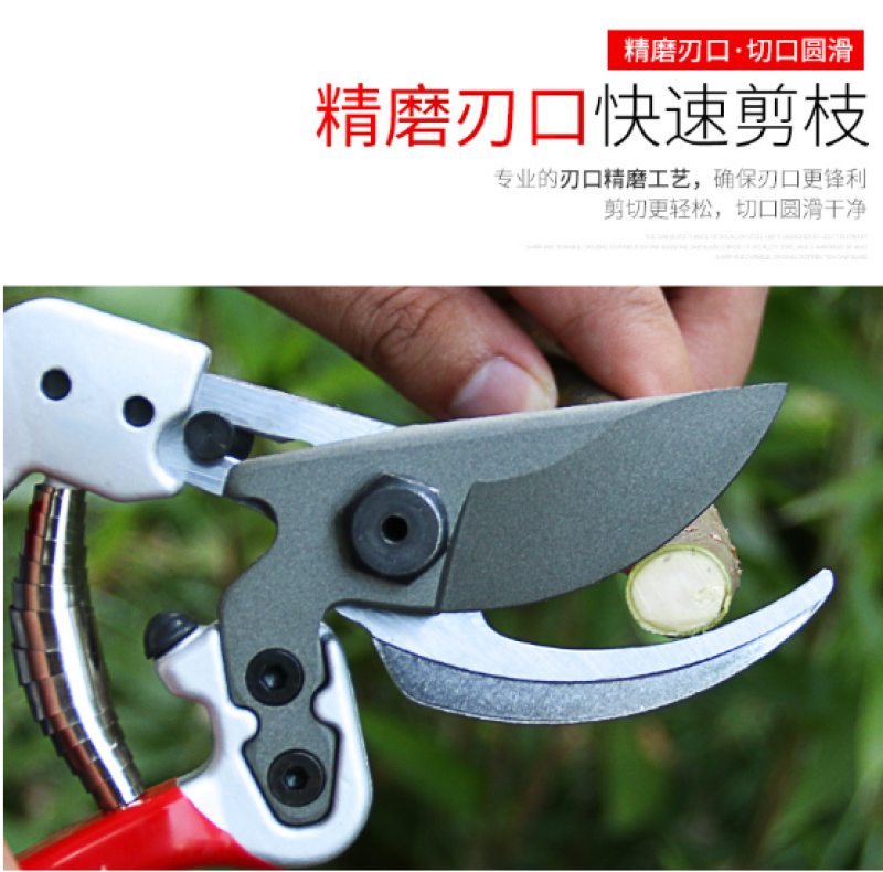 台湾帝胜2068园林剪刀树枝剪省力果树枝剪园艺
