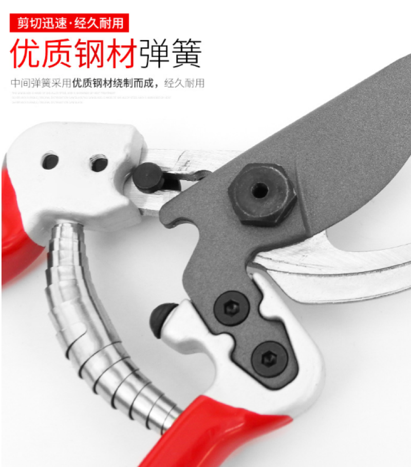 台湾帝胜2068园林剪刀树枝剪省力果树枝剪园艺