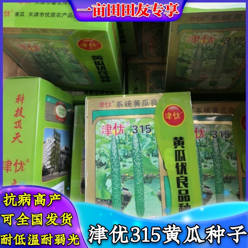 密刺黄瓜种子津优315抗寒抗病高产优质