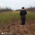 供应80--1米高的棣棠，丛生棣棠价格，带盆棣棠电联