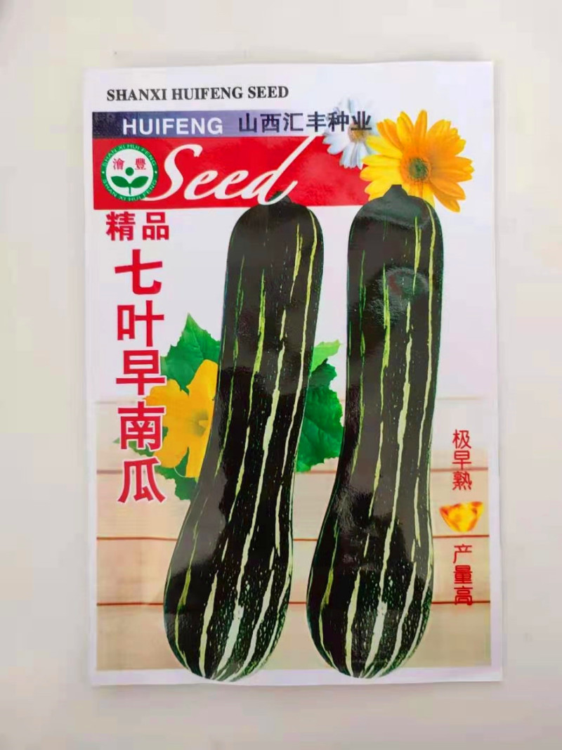 南瓜种子七叶早南瓜高产抗病耐旱早熟肉嫩粉甜