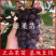 巨玫瑰葡萄苗玫瑰香味基地直销嫁接葡萄树苗当年结果