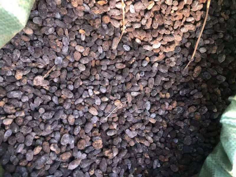 羊粪，有机肥羊粪，养殖厂直供，可常年供应大型批发，不断货