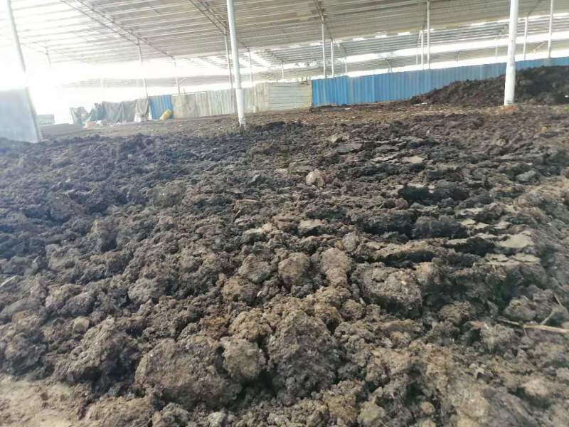 牛粪发酵牛粪所有农家肥一律包装车，诚信合作欢迎咨询