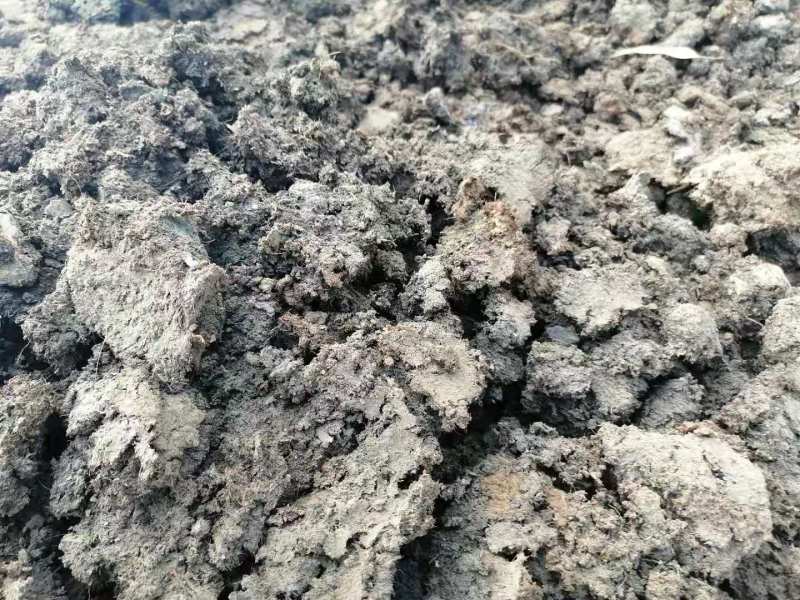 牛粪发酵牛粪所有农家肥一律包装车，诚信合作欢迎咨询