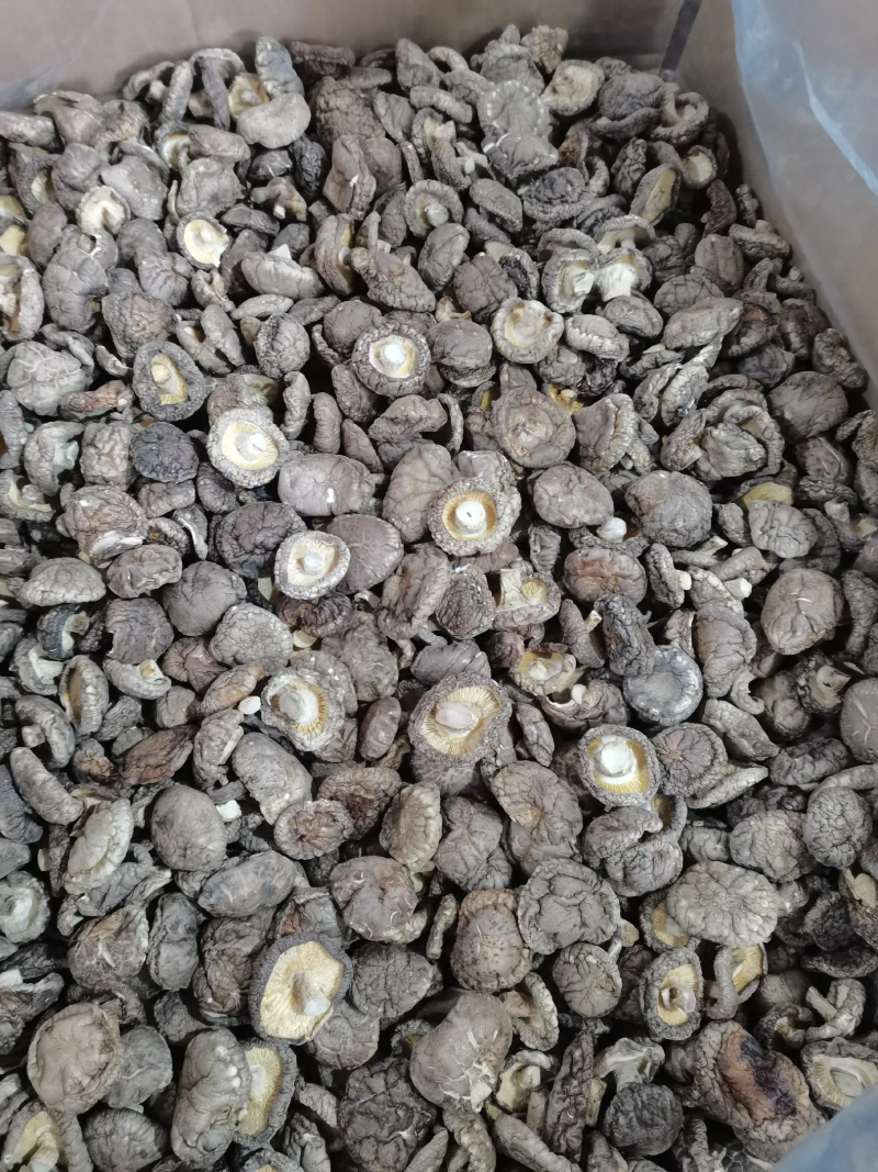 精品干香菇面菇产地发货一手货源支持产地看货