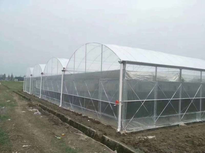 定制尺寸智能温室大棚玻璃温室阳光板温室