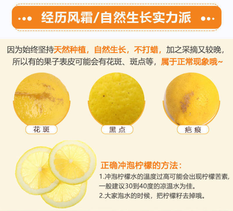 四川安岳黄柠檬新鲜柠檬果子薄皮奶茶餐饮店批发多一件也包邮