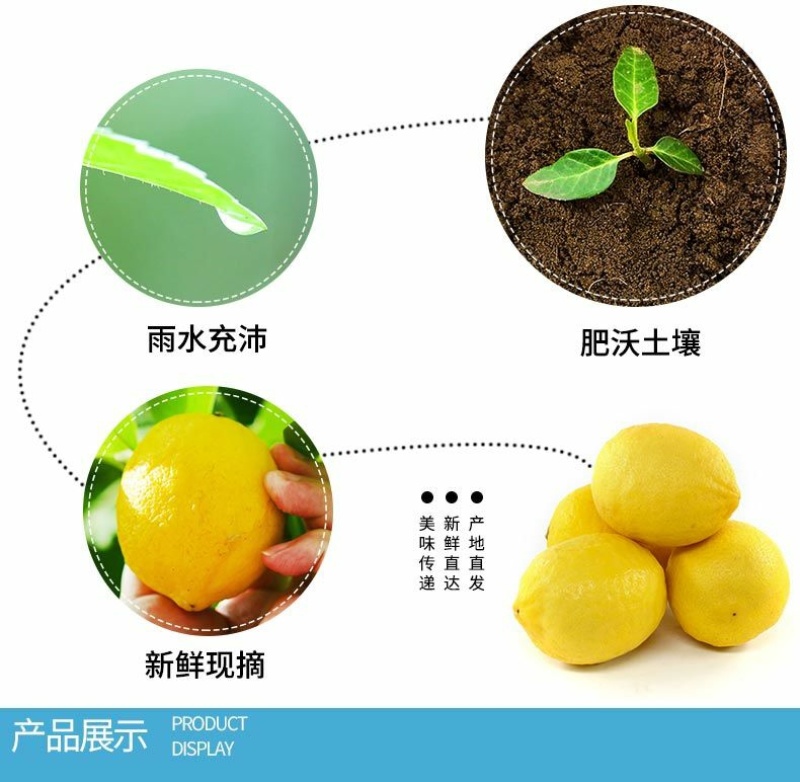 四川安岳黄柠檬新鲜柠檬果子薄皮奶茶餐饮店批发多一件也包邮